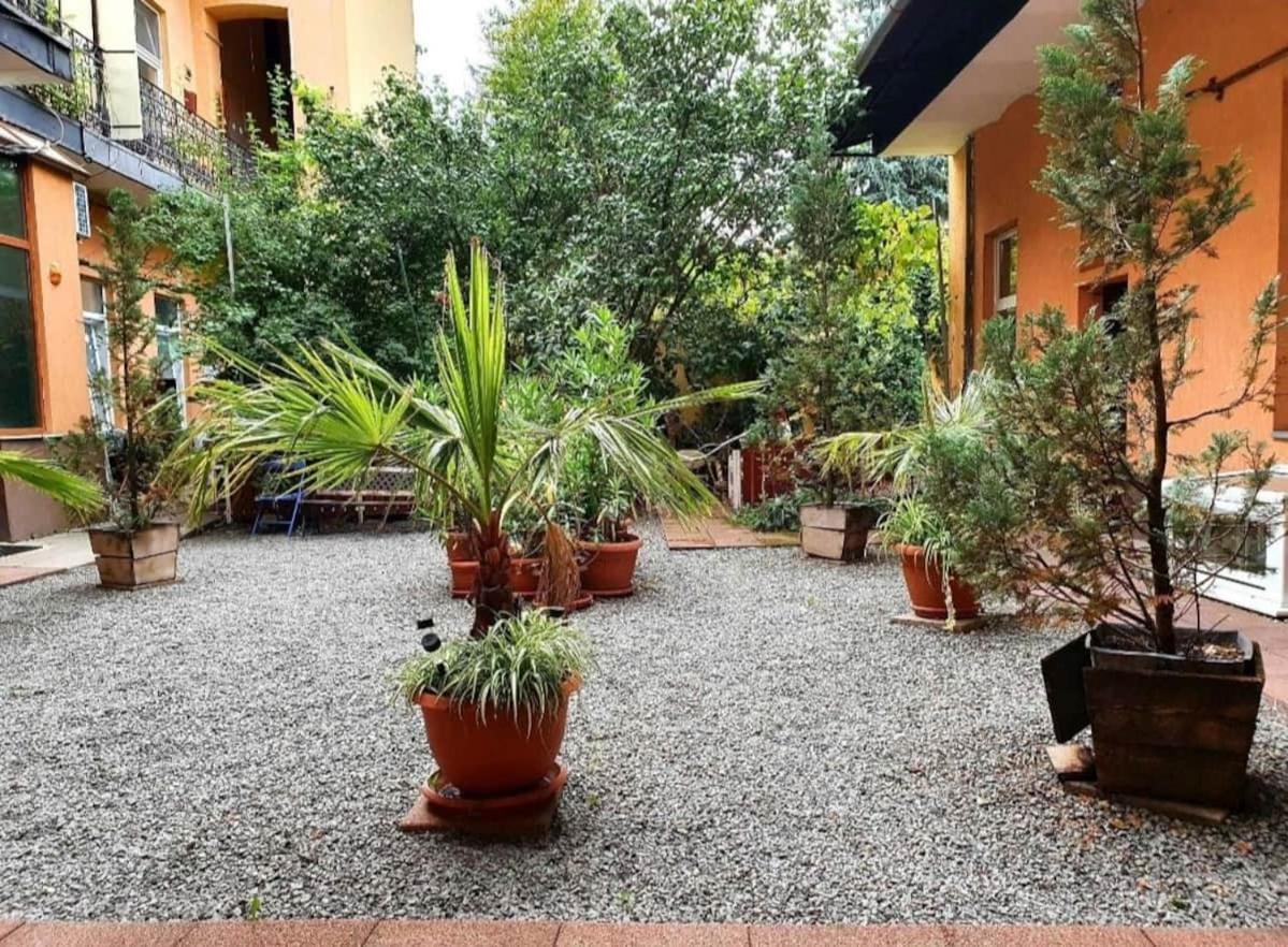 Ultracentral Cluj Napoca,Balcony,Fast Wifi,Parking Eksteriør bilde