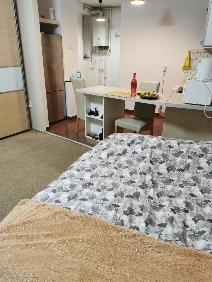 Ultracentral Cluj Napoca,Balcony,Fast Wifi,Parking Eksteriør bilde
